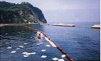 海上汚染2