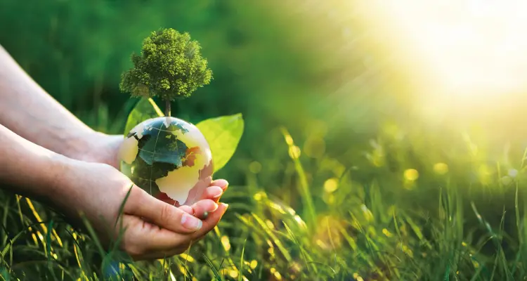 サステナビリティ商材販売・導入支援